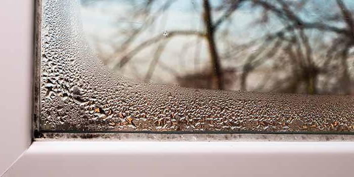 A close up view of condensation forming on a window